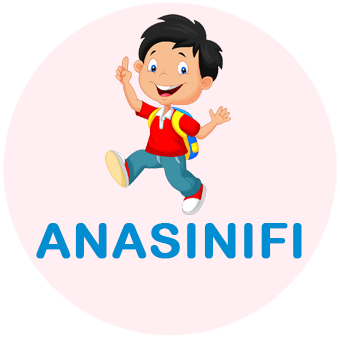 Anasınıfı Setleri